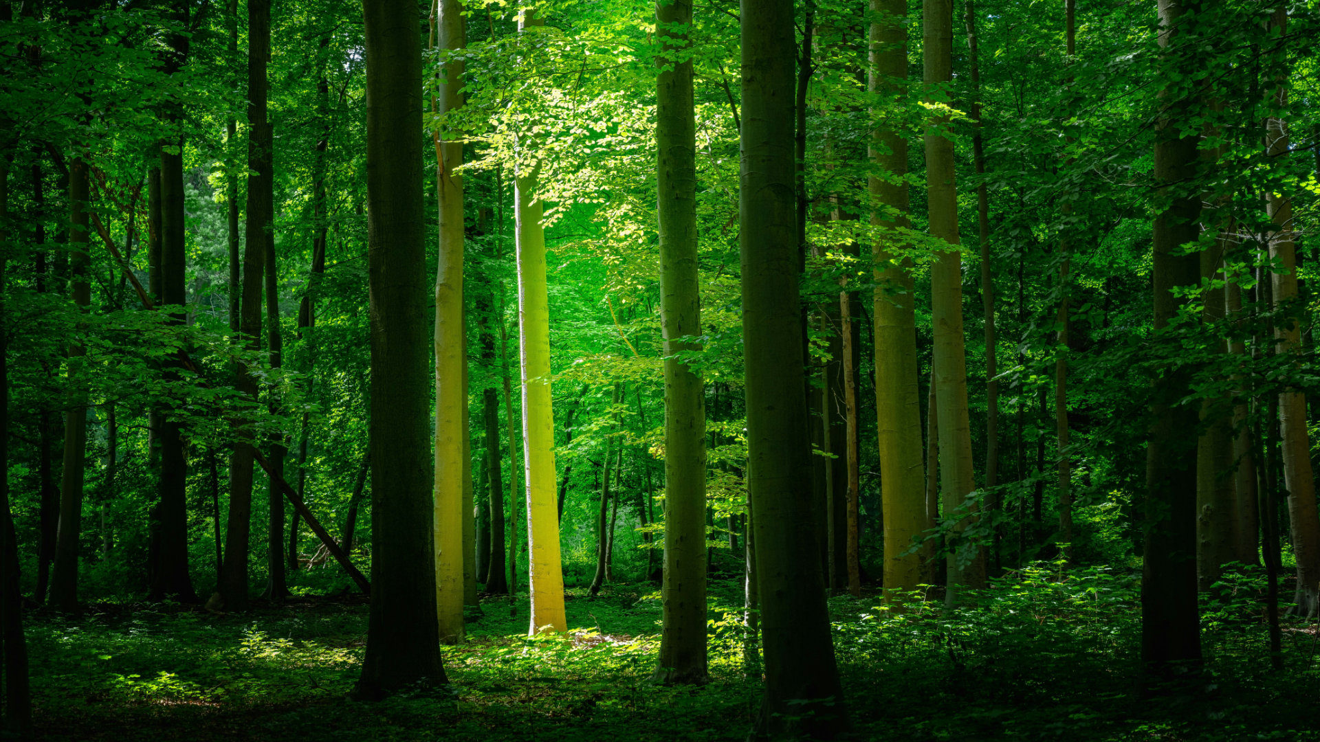 A person taking a deep breath of fresh air in an open outdoor setting, symbolizing freedom from smoking